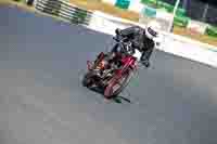 Red Bikes